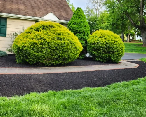 Flores Property Maintenance LLC (2)