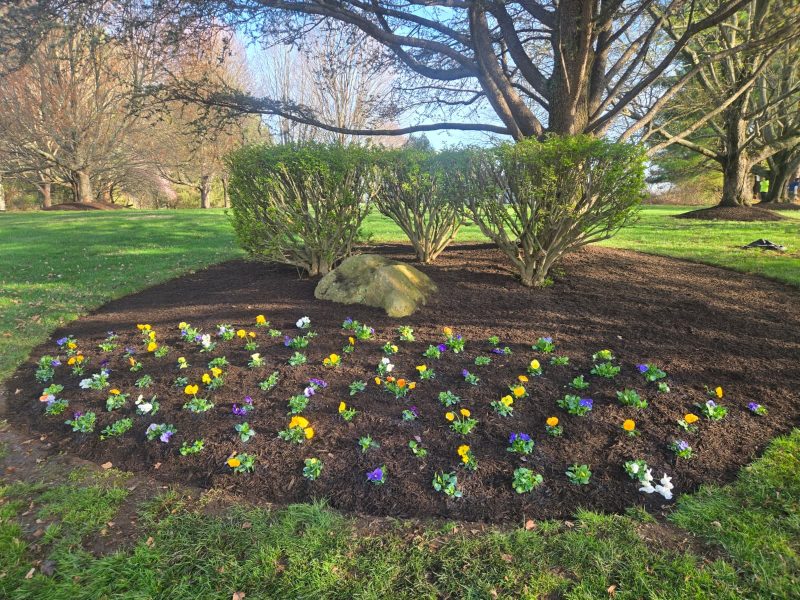 Mulch Insta 3