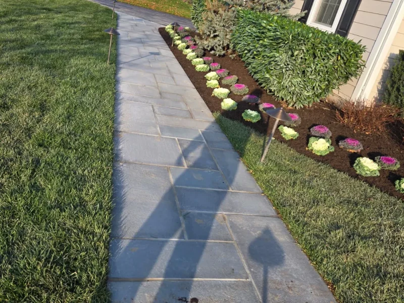 Sidewalk After 01
